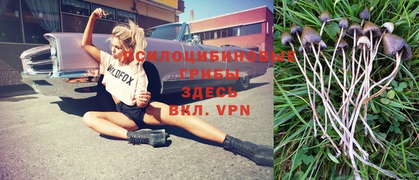MDMA Premium VHQ Ладушкин