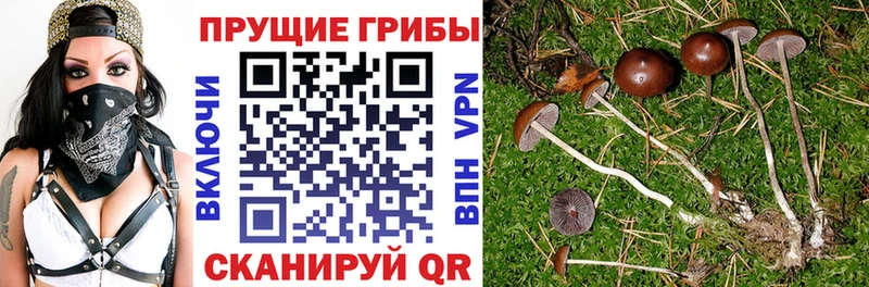 Галлюциногенные грибы ЛСД  Купить  Елабуга 